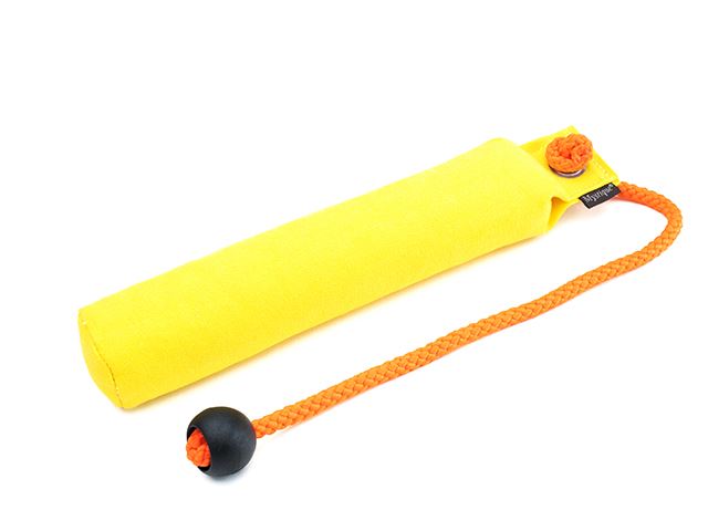 Mystique® Dummy "School"