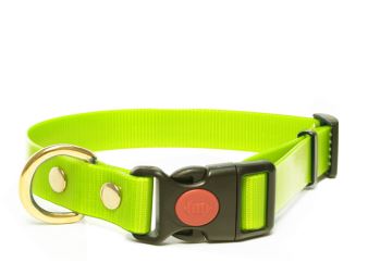 Biothane_collar_safety_click_solid_brass_gold_light_green_small_web