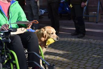 Sponzorstvo - CWT 2015 (1)