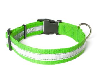 Mystique® Nylon collari profi riflettente 30mm neon verde 50-60cm
