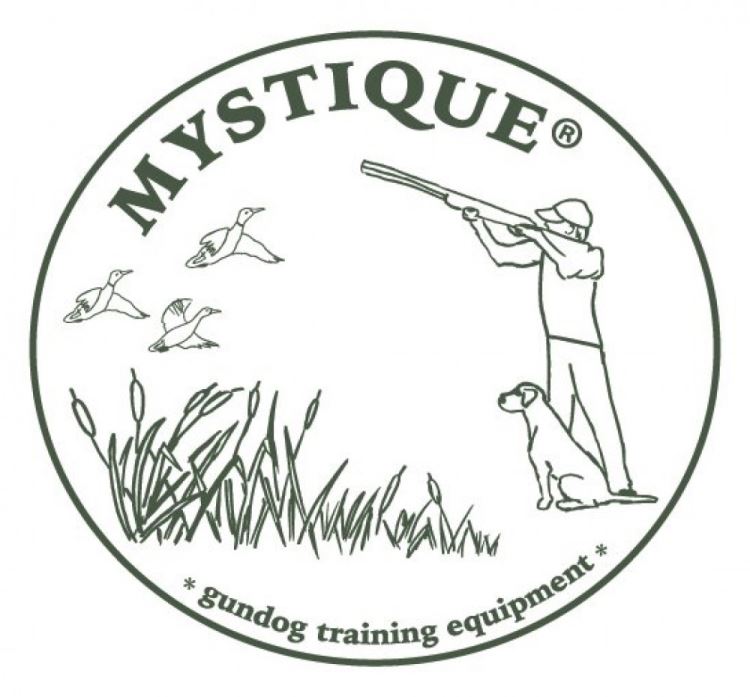 mystique-dummy.it